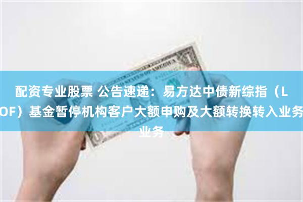配资专业股票 公告速递：易方达中债新综指（LOF）基金暂停机构客户大额申购及大额转换转入业务