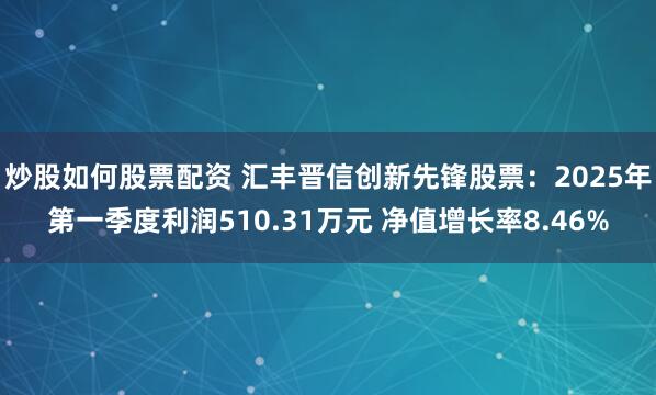 炒股如何股票配资 汇丰晋信创新先锋股票：2025年第一季度利润510.31万元 净值增长率8.46%