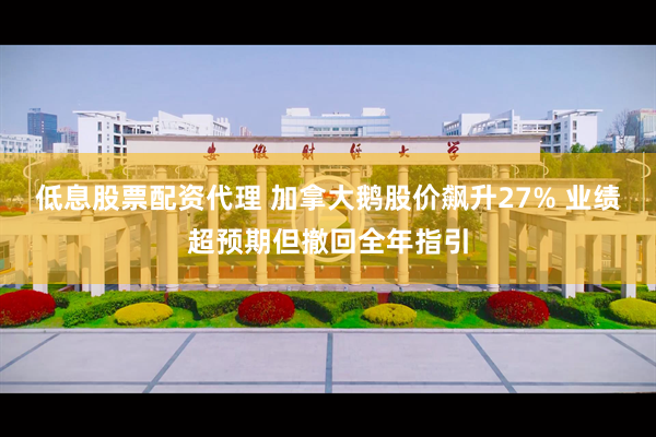低息股票配资代理 加拿大鹅股价飙升27% 业绩超预期但撤回全年指引